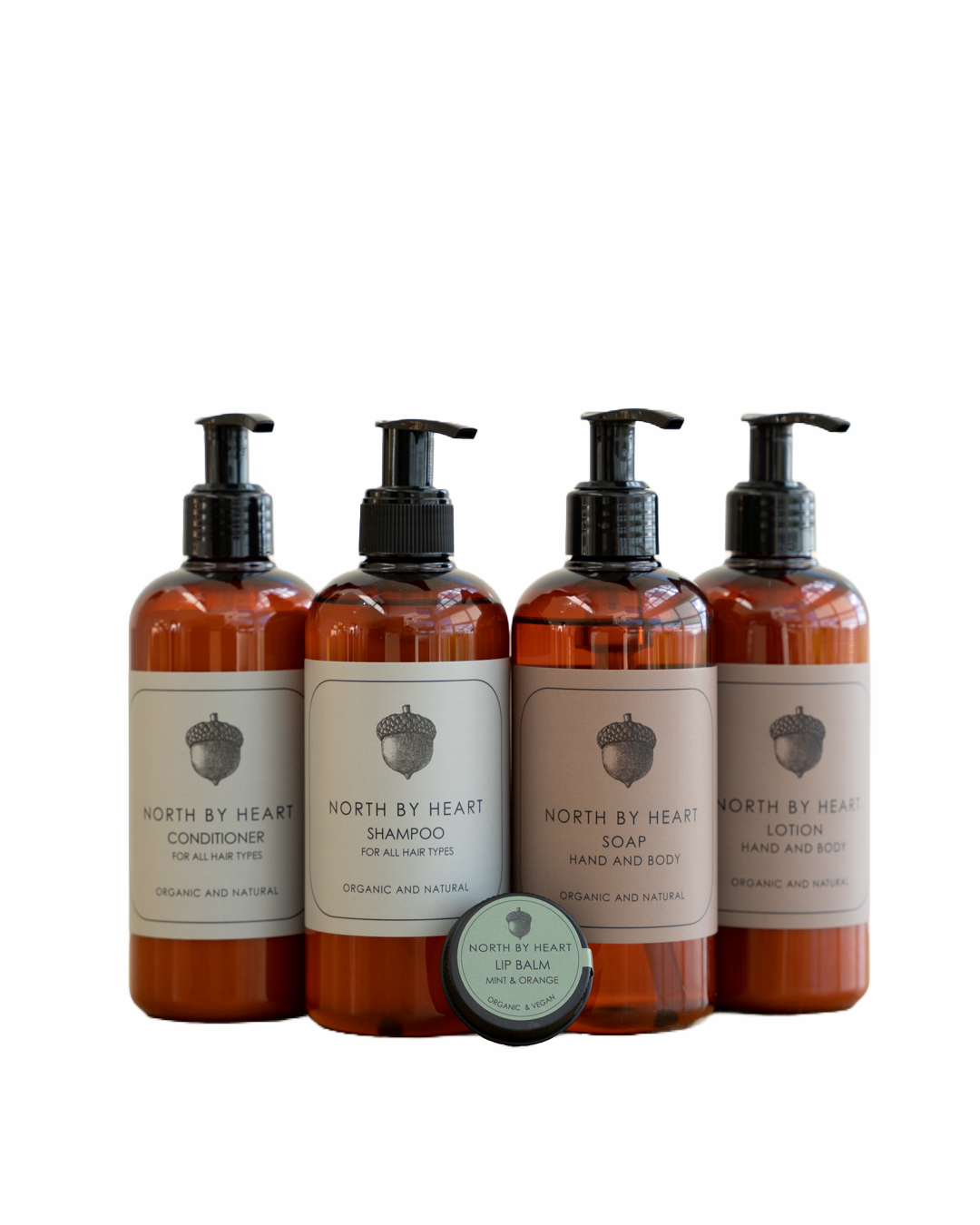 lip balm, shampoo, conditioner, soap og lotion.